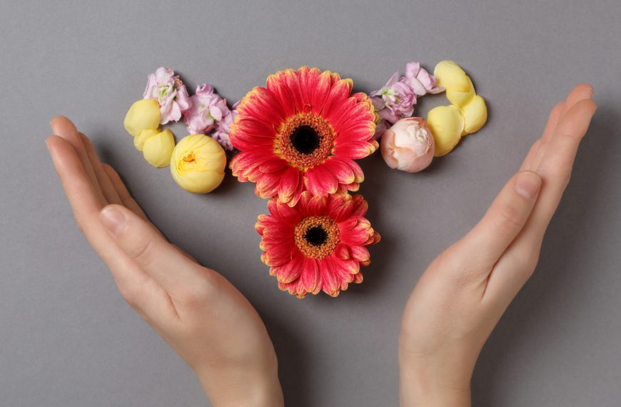 Manos sosteniendo flores que simbolizan la donación de óvulos, un acto altruista que ayuda a mujeres a cumplir su sueño de ser madres.