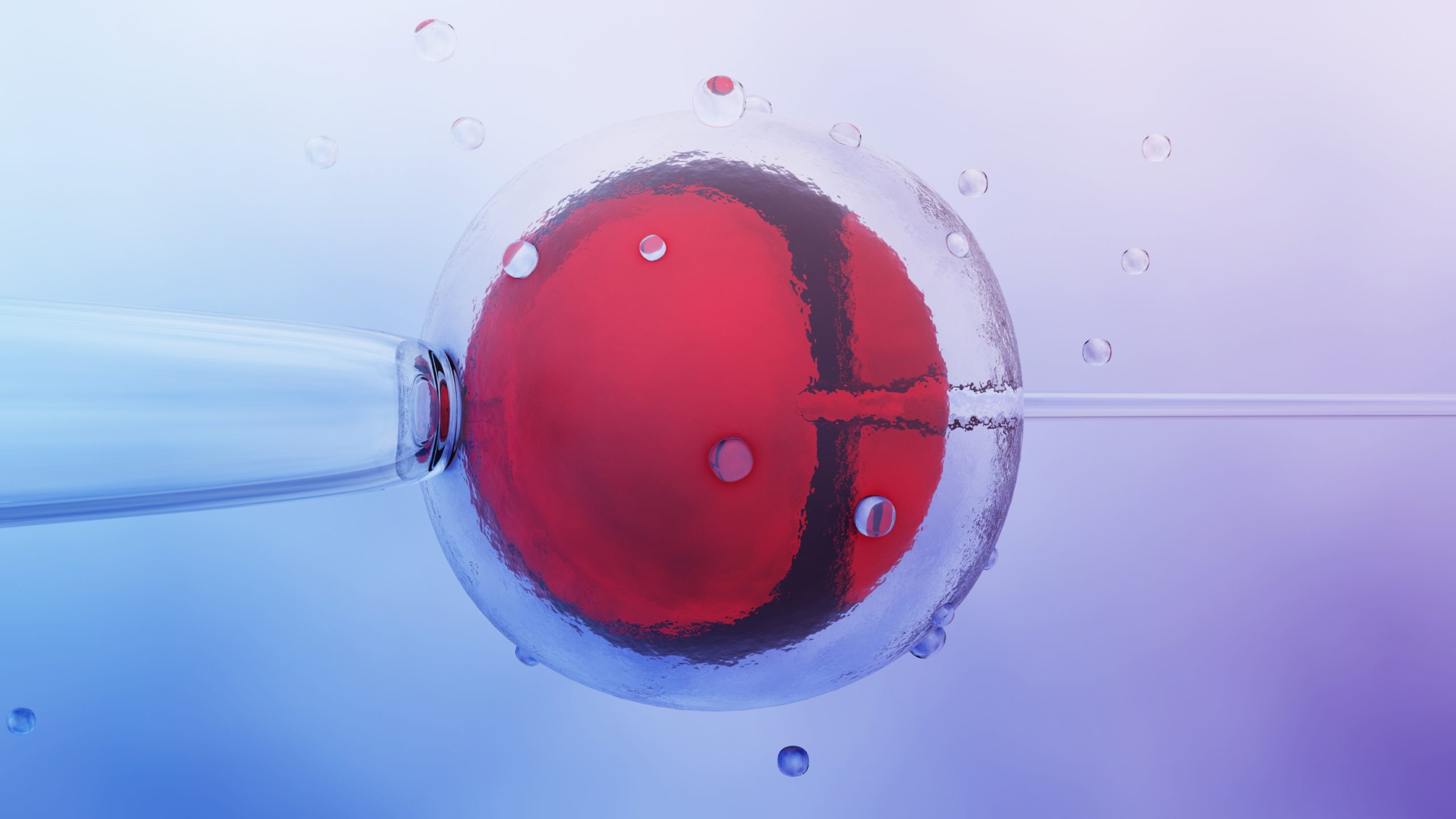 Immagine di una cellula con una struttura interna rossa e bolle trasparenti attorno.